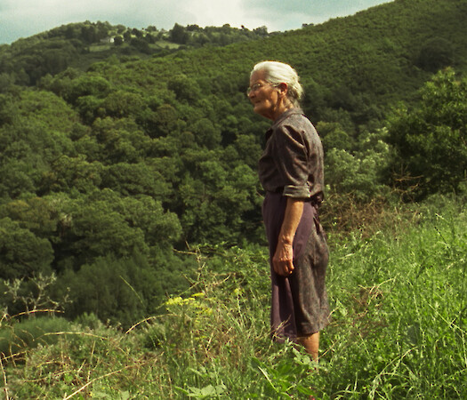 Spanish Cinema Now + 2021