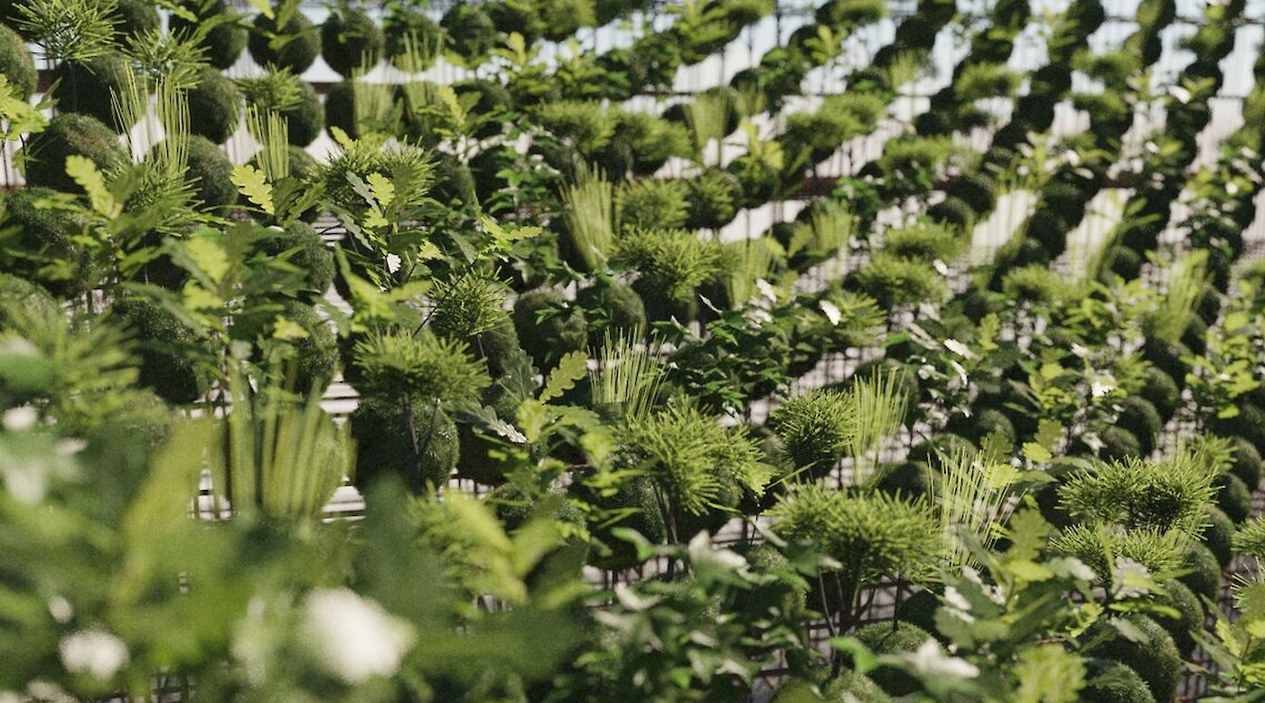 Kokedama Forest by Nomad Studio at the 2021 Philadelphia Flower Show