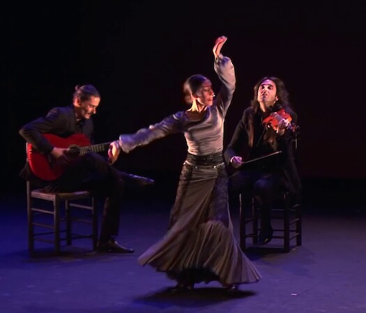 De paso by Casa Patas U.S. Tour in Washington, D.C.