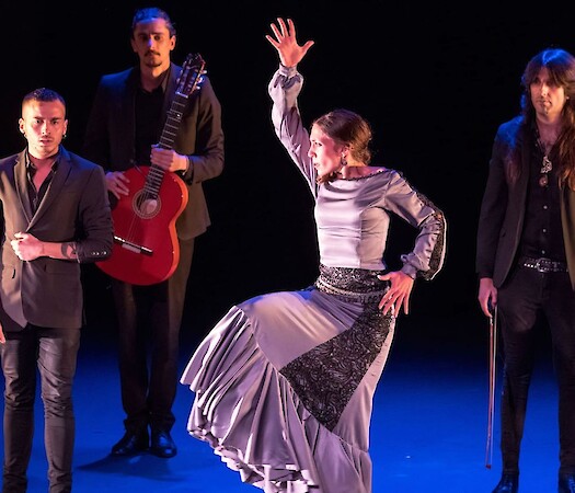De paso by Casa Patas U.S. Tour in Chicago