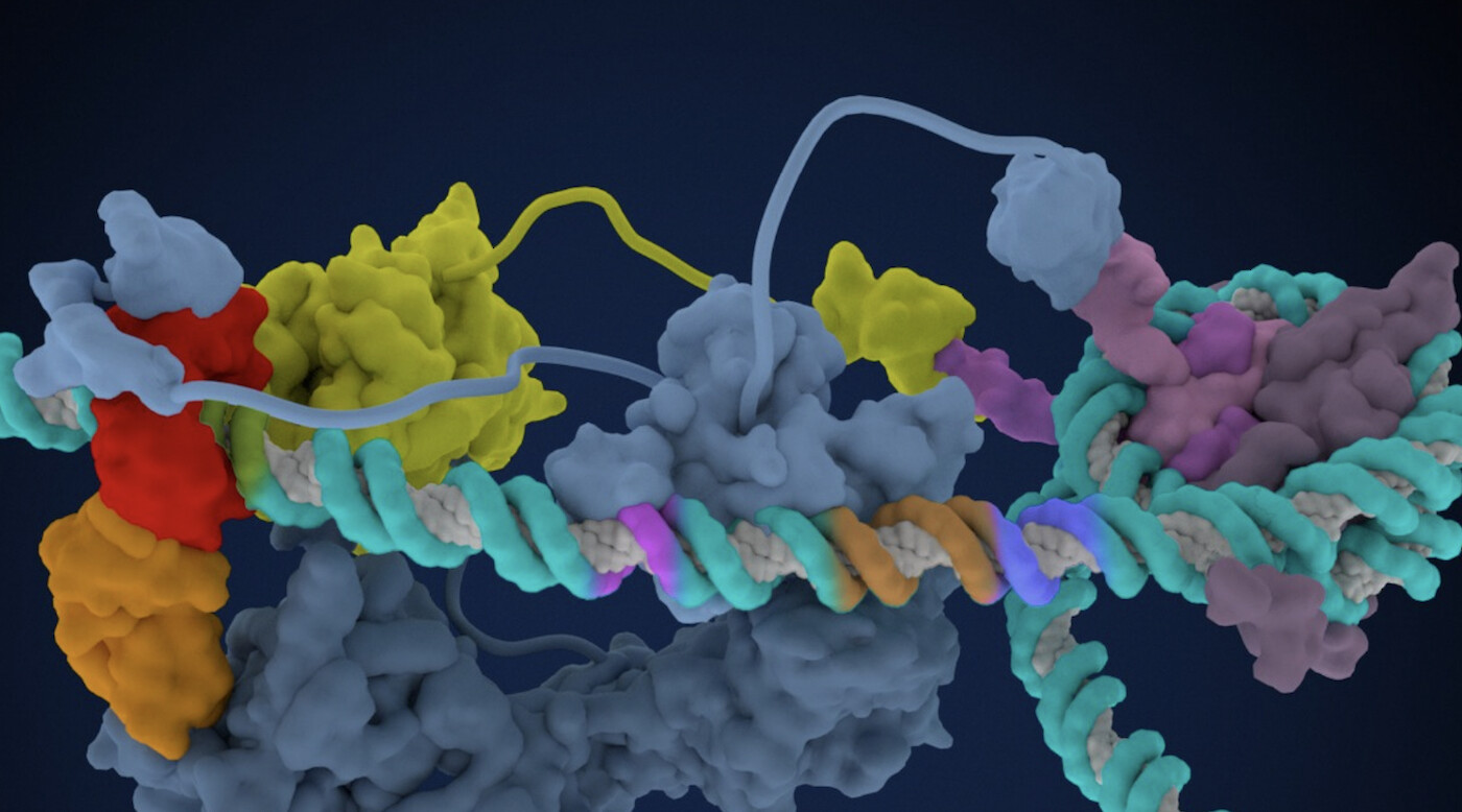 Bay area: at the crossroads of scientific innovation and business