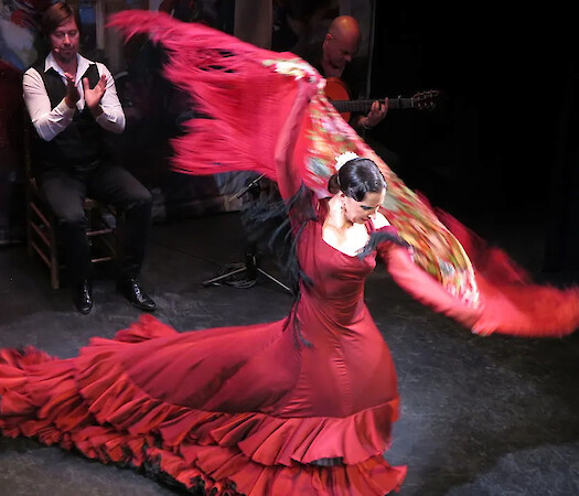 Flamenco on Film
