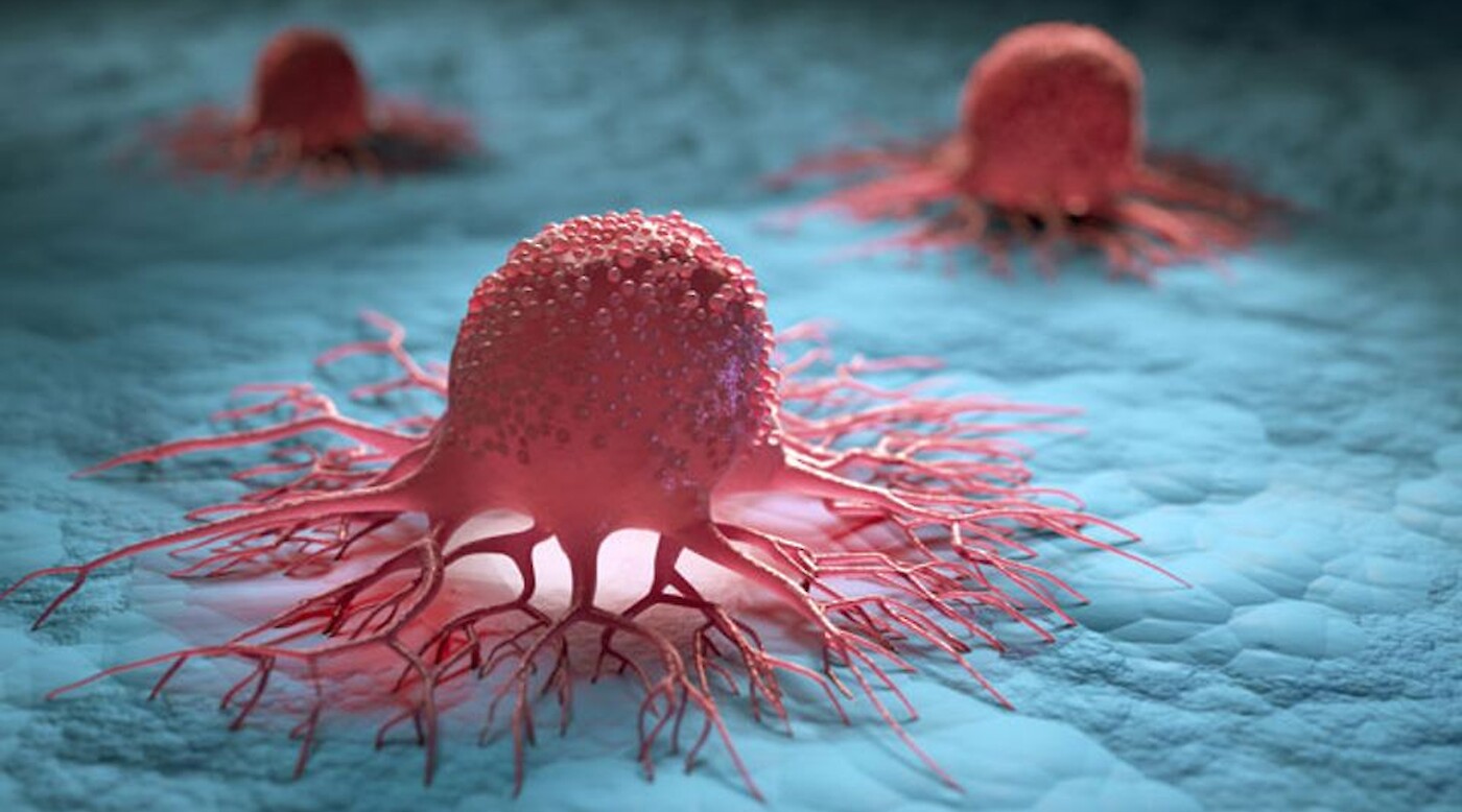 ECUSA Seminar Series for a More Sustainable Future II: Aging, Longevity and Cancer