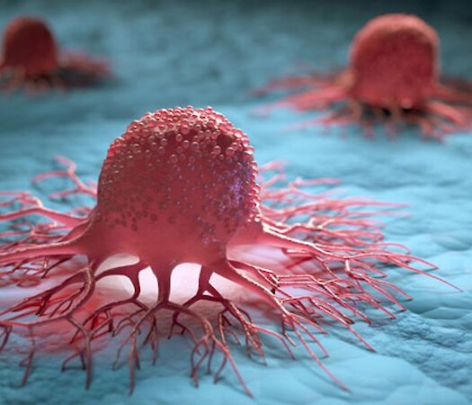 ECUSA DC Seminar Series I for a more sustainable future. Aging, Longevity and Cancer
