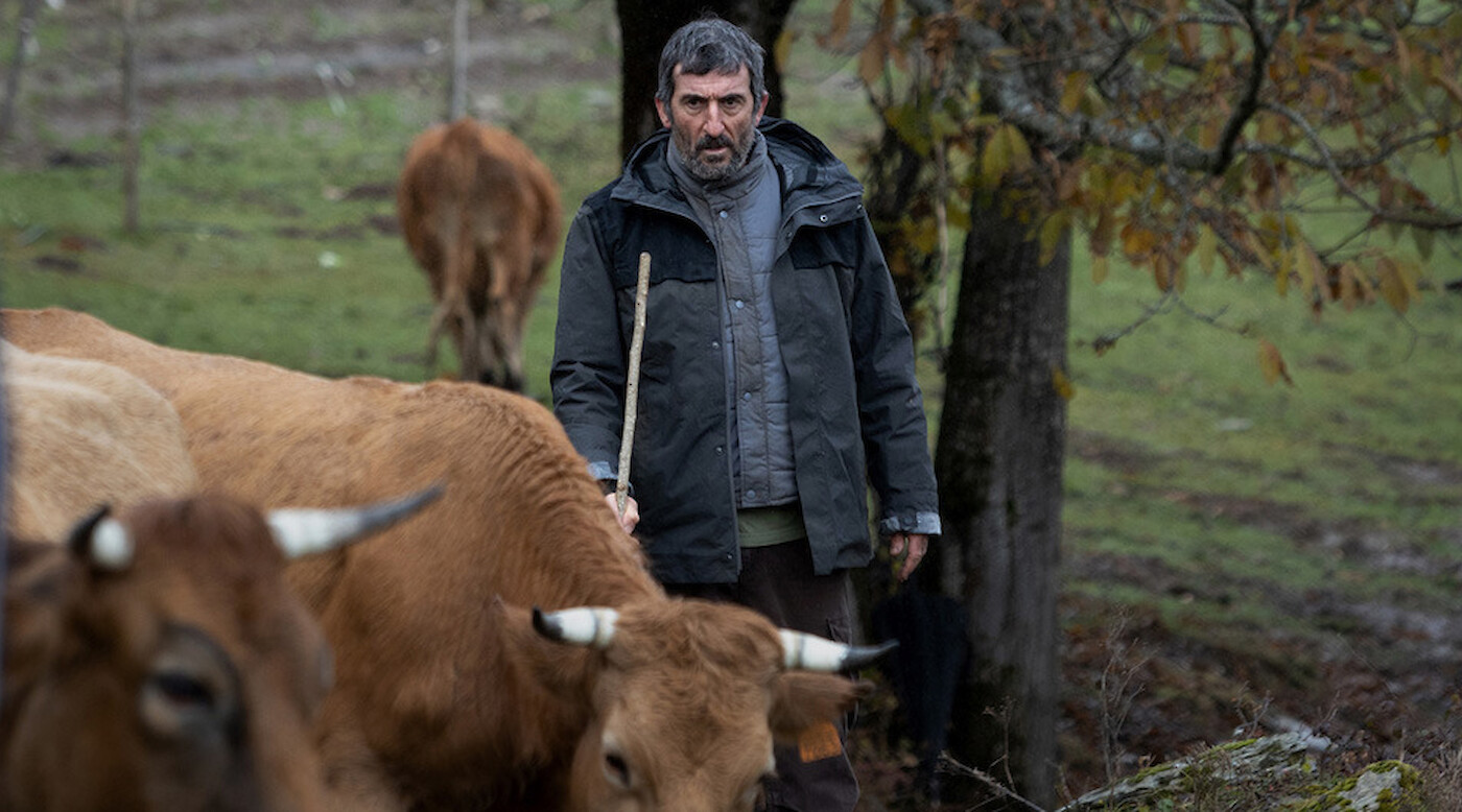 Spanish Cinema Now + 2023