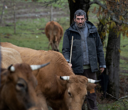 Spanish Cinema Now + 2023