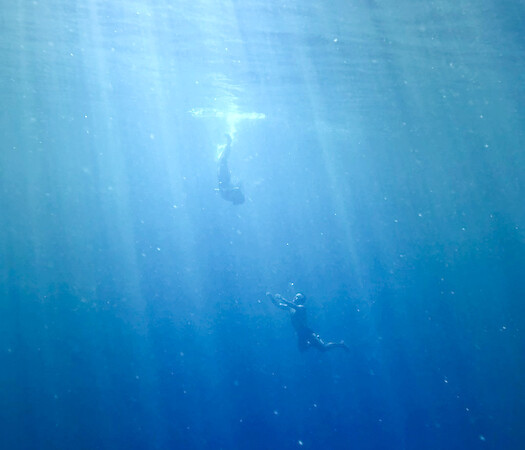 Ibiza Blue at the Richmond International Film Festival 2023