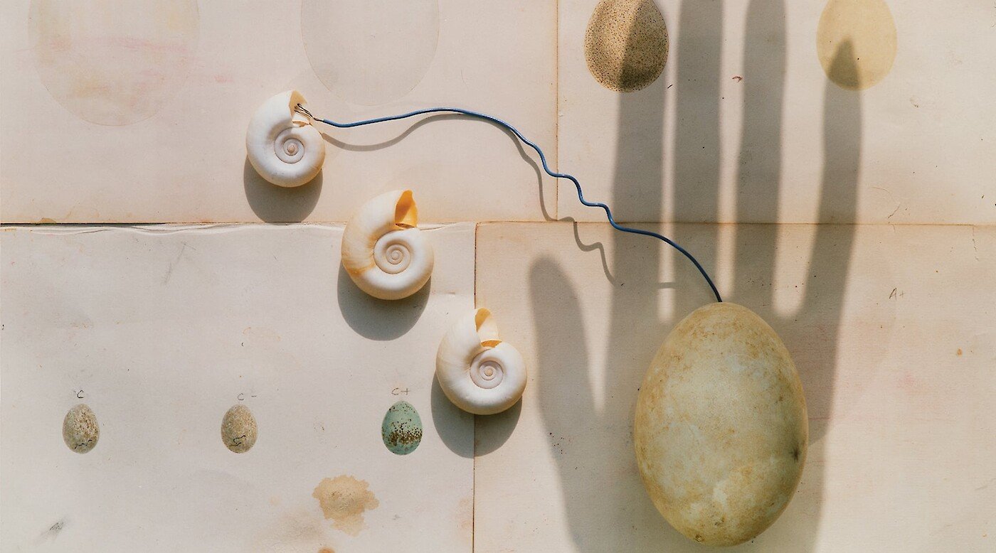 Surrealism at the Harn: A Centennial Celebration