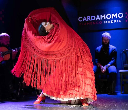 Paula Rodríguez Flamenco at FlamenGO 2024