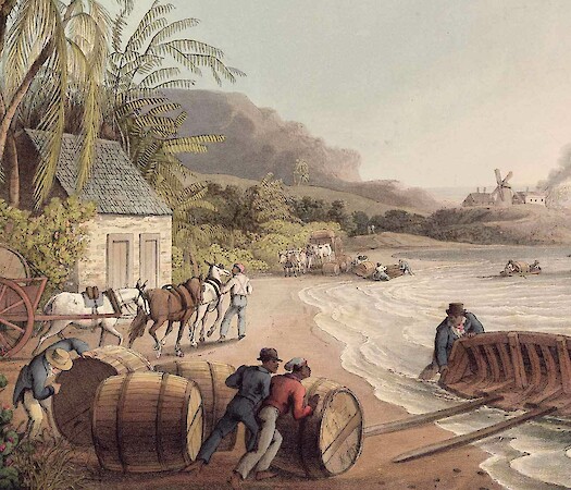 The Bohío and the City: Ephemeral Architecture and Urbanism in the Late Spanish Colonial Caribbean