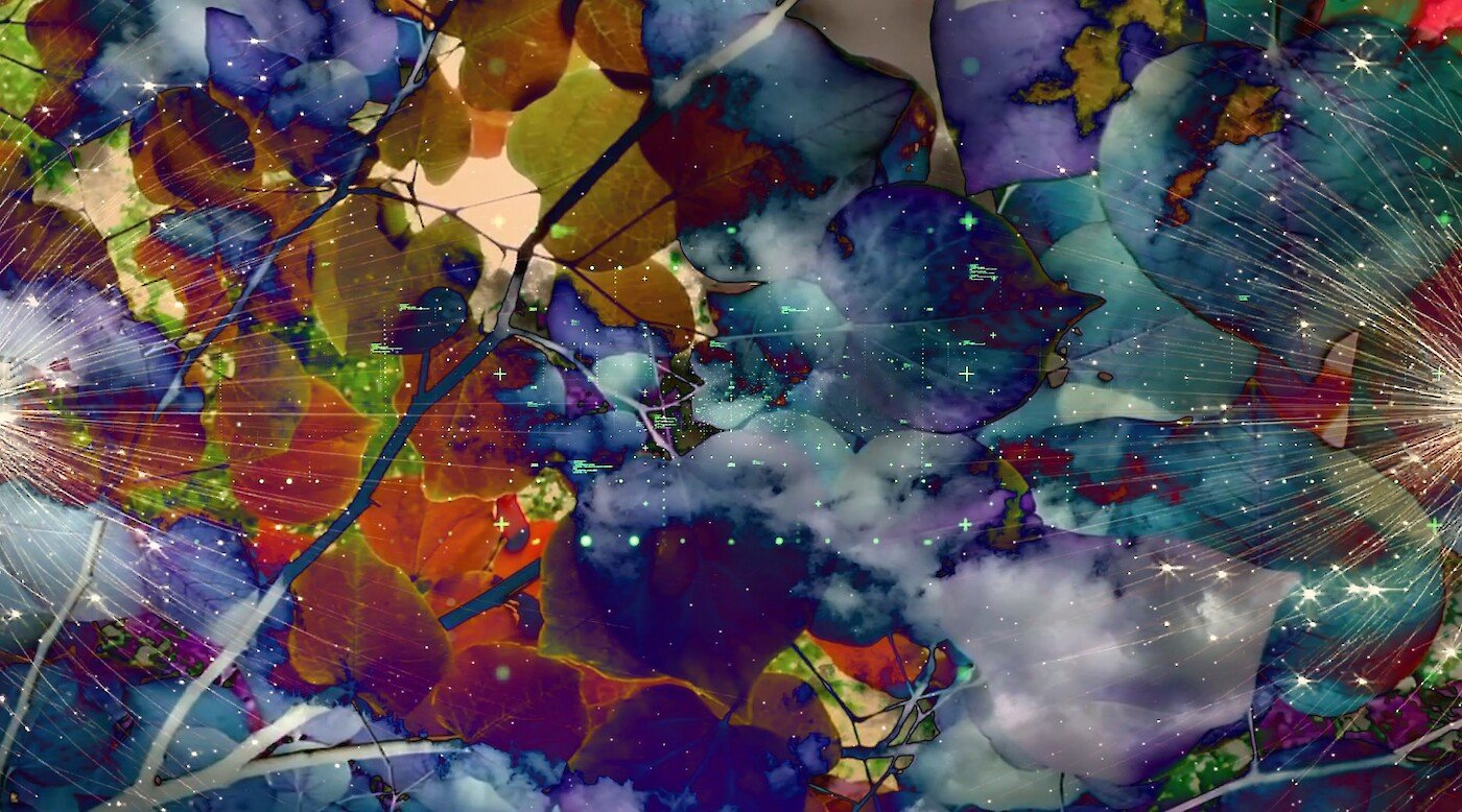Perennial Land — The Data Forest by Laia Cabrera & Isabelle Duverger