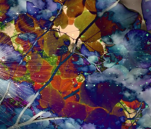 Perennial Land — The Data Forest by Laia Cabrera & Isabelle Duverger